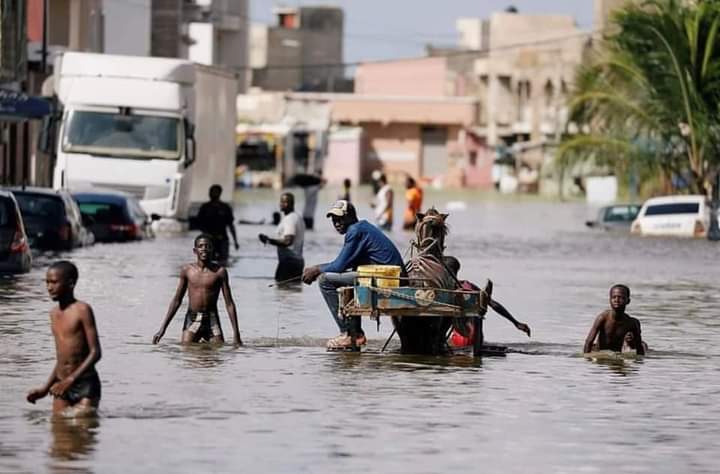 Article : Les inondations, probl&egrave;me r&eacute;current des pays africains